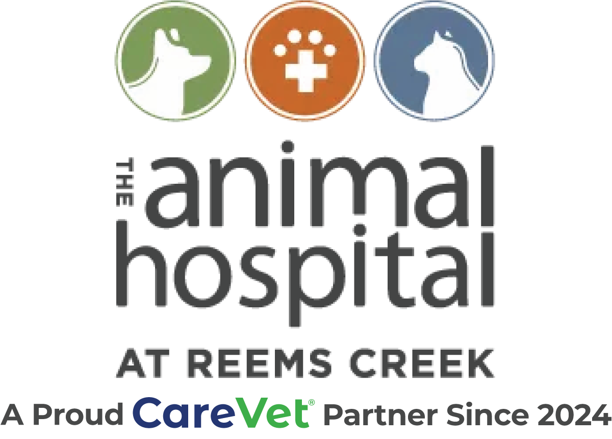 The Animal Hospital at Reems Creek Logo